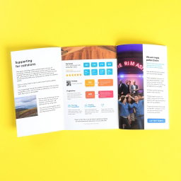 A neatly arranged tri-fold brochure that is completely unfolded, displaying three sections