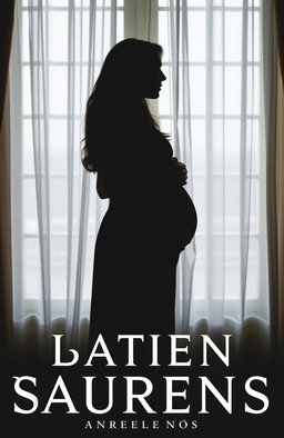 A book cover featuring the silhouette of a young woman from the side, wearing a simple dress, with her hands cradling her pregnant belly
