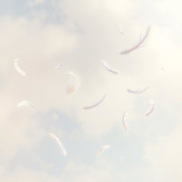 A serene, ethereal scene featuring delicate floating feathers gracefully drifting through a gentle breeze