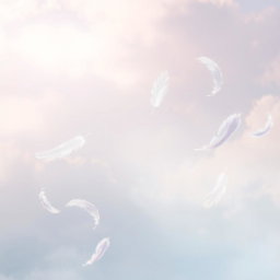 A serene, ethereal scene featuring delicate floating feathers gracefully drifting through a gentle breeze