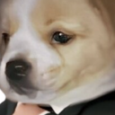 original-slate's avatar