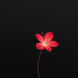A simple yet striking drawing of a red flower that glows against a black background