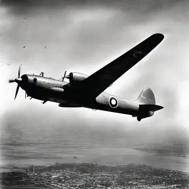 During World War II, people were afraid of air raids.
