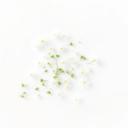 A minimalistic and delicate design featuring white flowers and small green leaves scattered artistically on a transparent or plain light background