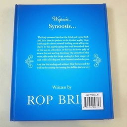 An engaging blue back cover for a book titled 'Written by ROP BRIAN'
