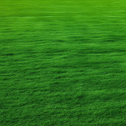 A sprawling, vibrant green lawn that has just been freshly mowed, with distinct, symmetrical stripe patterns.