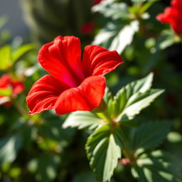 A close-up of a vibrant red flower with detailed petal textures and rich green leaves as a backdrop
