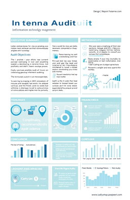 A detailed report layout design focusing on internal audit processes, specifically for information technology management