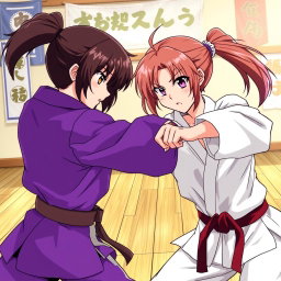 Anime-style illustration featuring two karate girls: one with brown hair and the other with striking purple hair