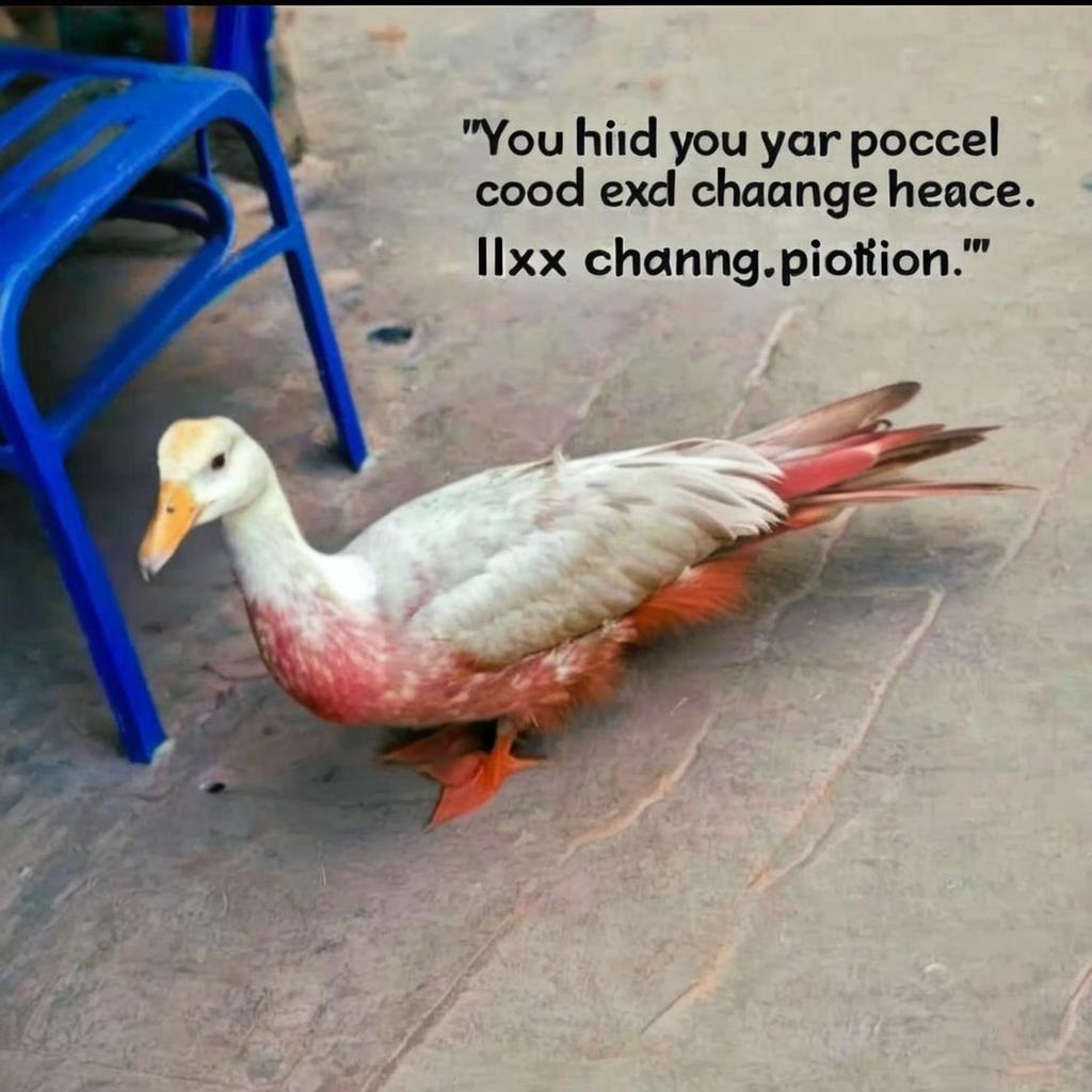 Chhange text