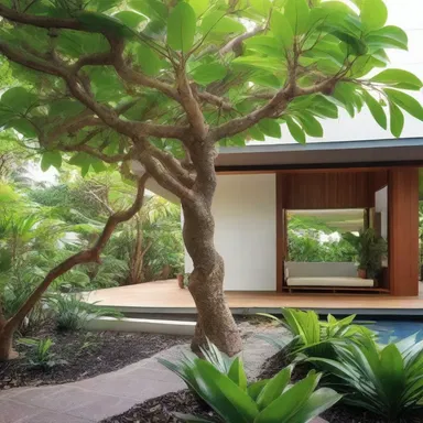 The akee tree is often incorporated into the landscaping of tropical-style homes, adding a touch of natural beauty to the architecture.