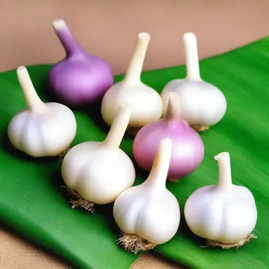 The cultivation and consumption of alliaceous plants like garlic can be traced back to ancient Egypt.