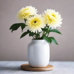 A minimalist decoration with Chrysanthemum flowers