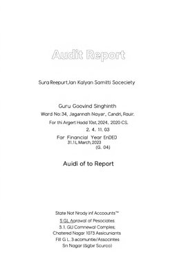 A professional and formal cover page design for an audit report