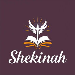 Professional and attractive logo design for a church group named 'Shekinah'