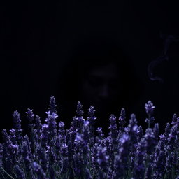 A dark aesthetic scene that embodies the theme 'Shadows of Us'