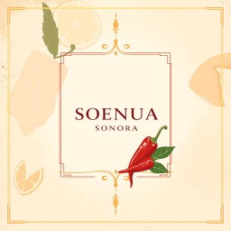 A modern minimalist cocktail menu cover inspired by the theme of an ancient book, featuring an abstract background that represents the ingredients and flavors of Sonora, such as agave, citrus fruits, and chilies