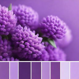 Generate an image of a diverse purple color palette. This should present a range of shades within the purple spectrum from light lavender to deep purple.