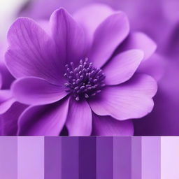 Generate an image of a diverse purple color palette. This should present a range of shades within the purple spectrum from light lavender to deep purple.