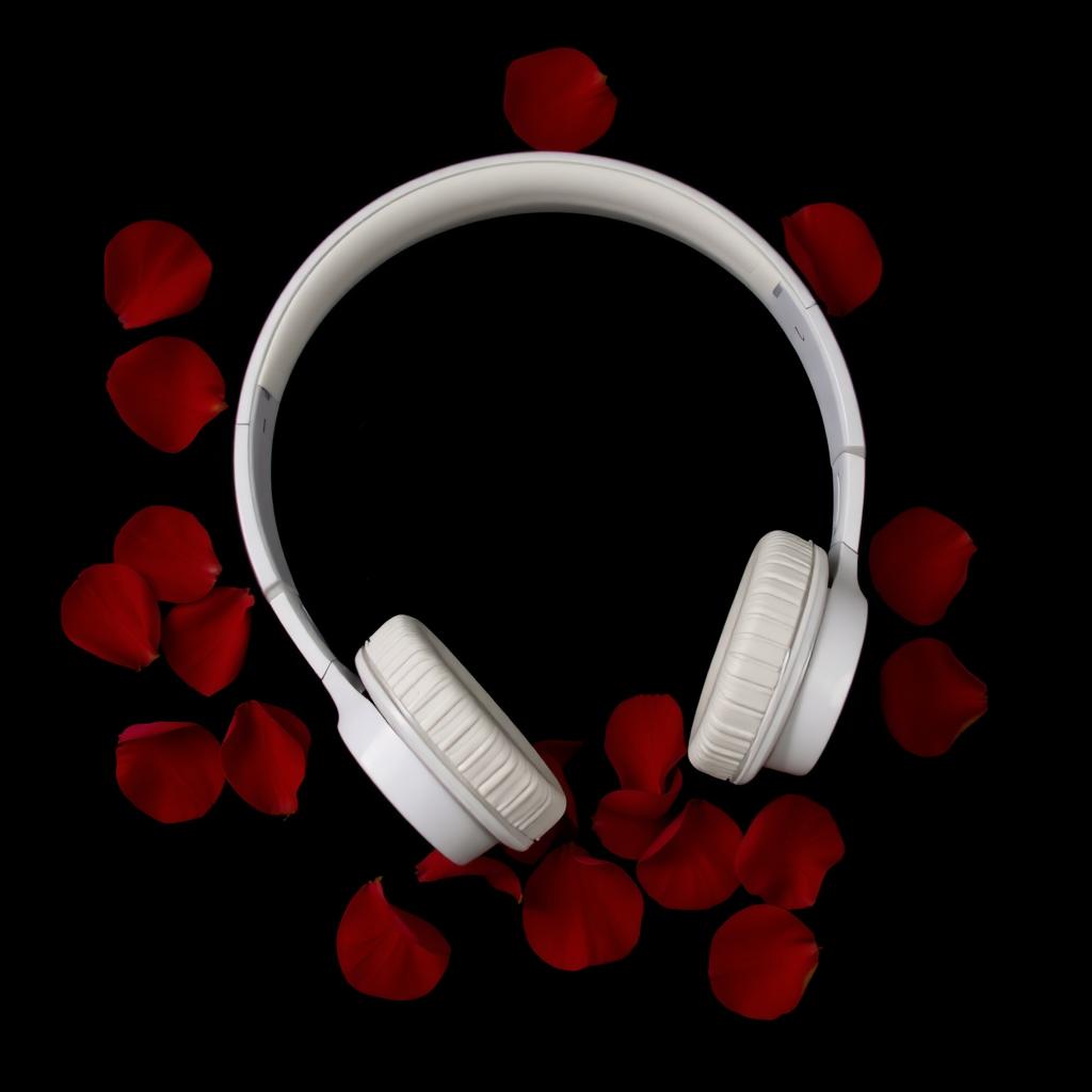 A striking image featuring a black background that enhances the central focus of white headphones delicately resting in the middle of the scene