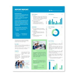 A detailed, visually appealing report layout featuring a clean and modern design