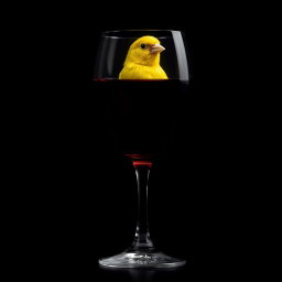 a vivid canary inside a crystal wine glass filled with deep red wine, situated against a dark, moody background, creating a striking contrast, the glass reflecting minimal light to emphasize the richness of the wine, the canary's bright yellow feathers glowing softly in the low light, evoking a sense of intrigue and mystery