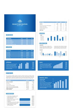 A well-organized budget proposal document for Avadi Corporation for the year 2025