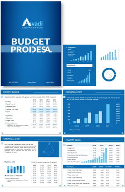 A well-organized budget proposal document for Avadi Corporation for the year 2025
