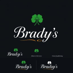A luxurious and elegant logo for "Brady's" that emphasizes the brand name prominently