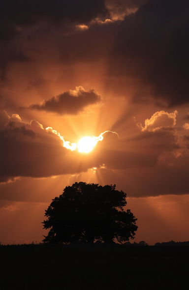 A stunning transformation from darkness to light, featuring a vibrant sunrise breaking through dark clouds, illuminating the sky with hues of orange, pink, and gold