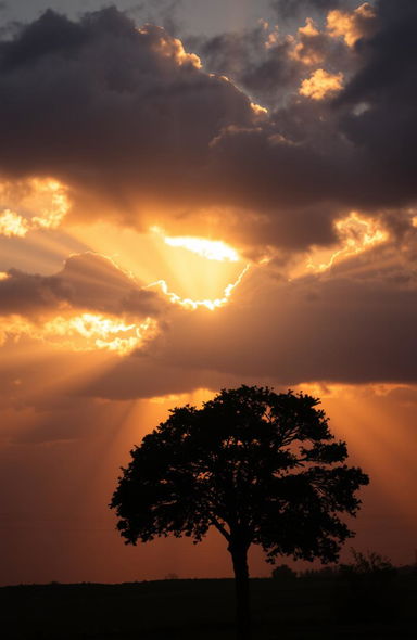 A stunning transformation from darkness to light, featuring a vibrant sunrise breaking through dark clouds, illuminating the sky with hues of orange, pink, and gold