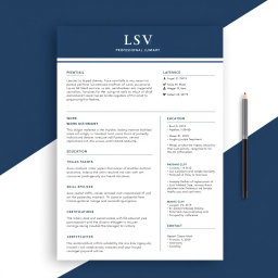 Elevate Your Career: Professional CV Layout