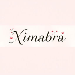 A stylish and elegant banner for a women's clothing store featuring the word 'Ximabra' prominently displayed in an attractive font