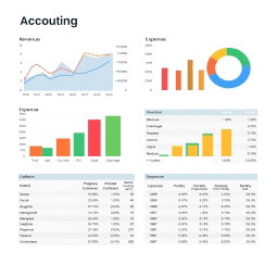 Vibrant Accounting Document: Your Financial Insights