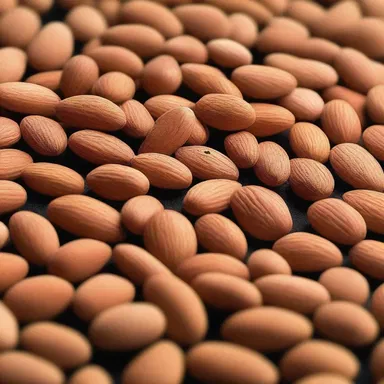 Why did the almond go to the casino? Because it heard they have lots of amygdaliforms!