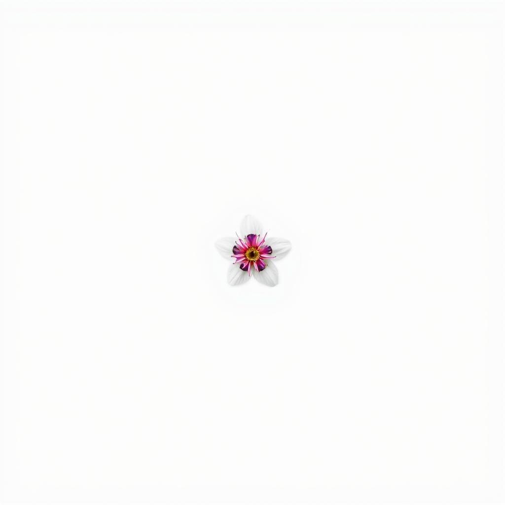 A simple and minimalistic image featuring a clean white background, perfectly focusing on the central subject without any distractions