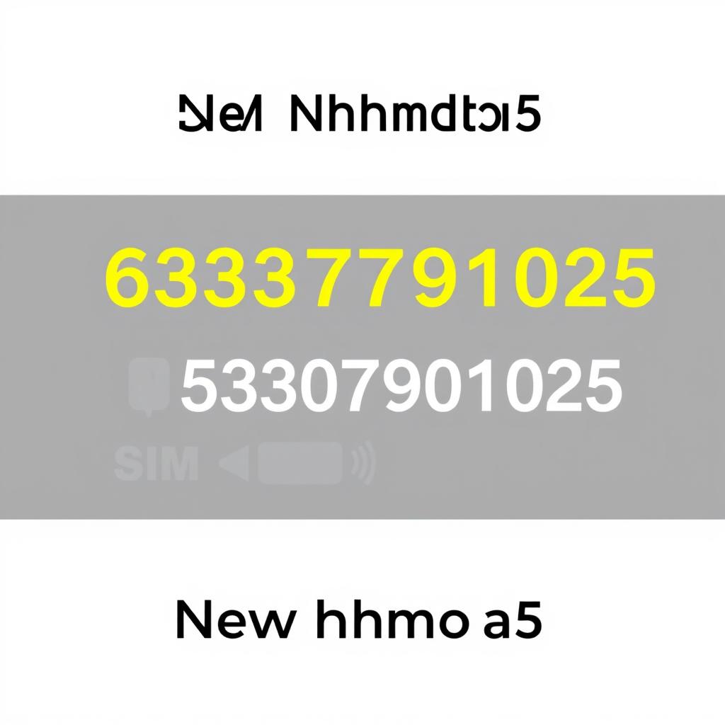 Change the SIM card number in the provided string 639307901025 to a new number while keeping the other elements the same, creating a visually appealing representation of the number change in a digital format