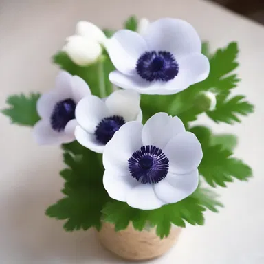 In some religious rituals, anemones are offered as a symbol of purity and devotion to the divine.