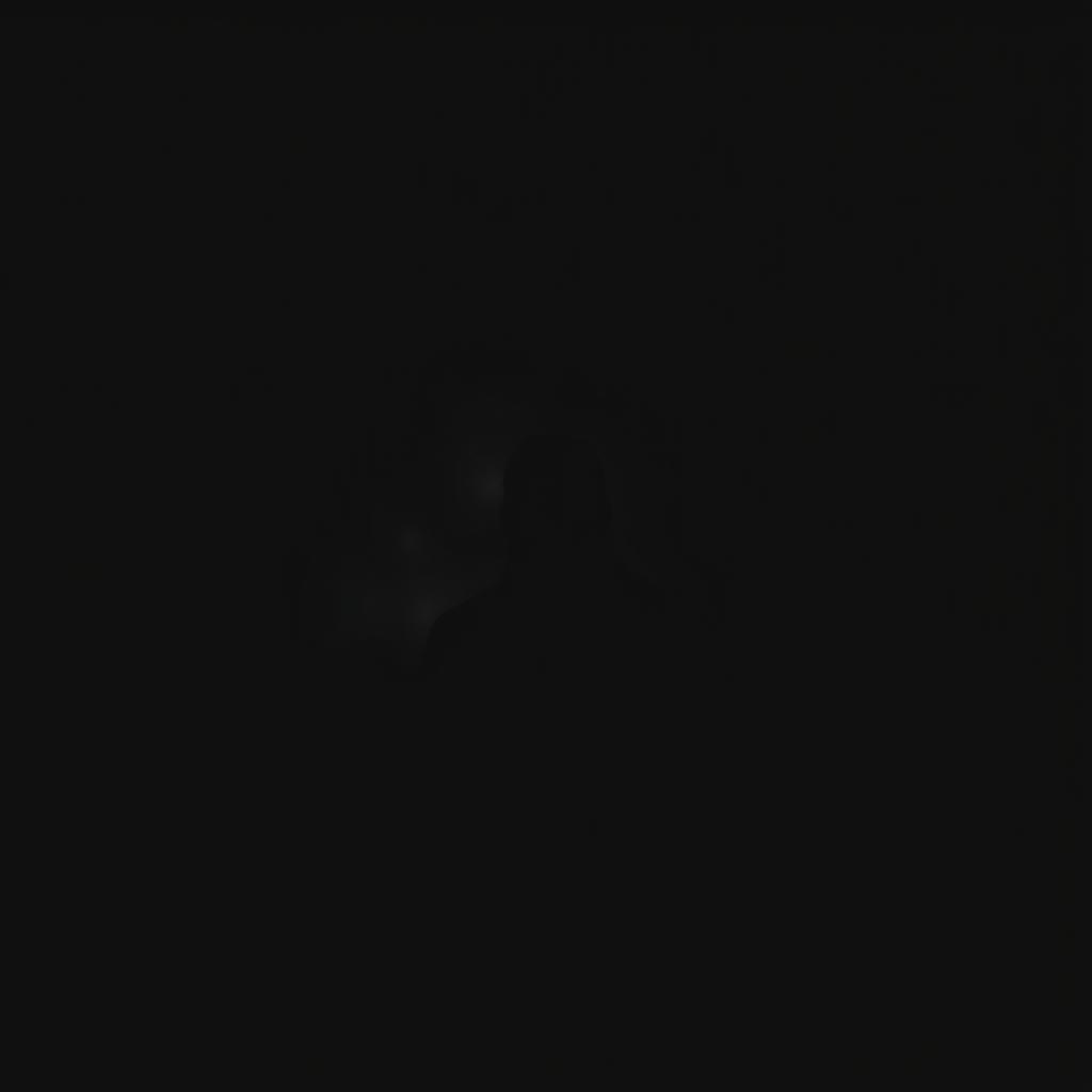 A barely visible dark silhouette emerging in the darkness, surrounded by a deep shadowy background