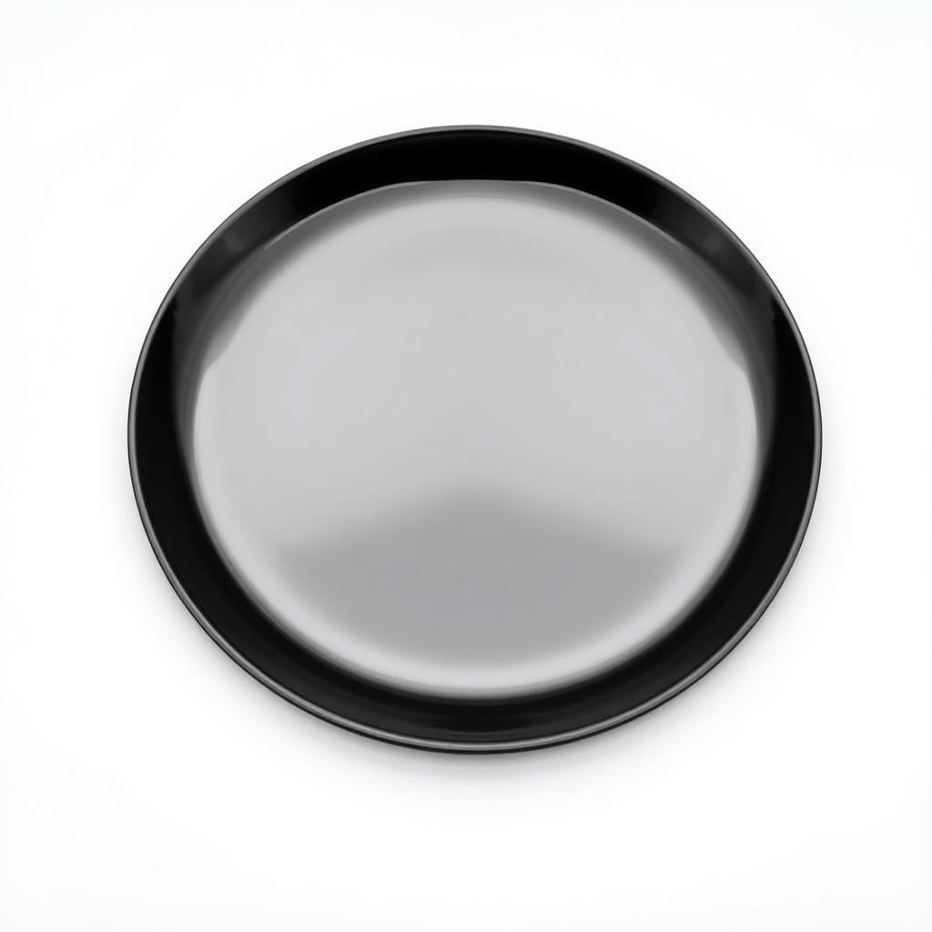 A minimalistic setup showcasing a black plate centered on a plain white background