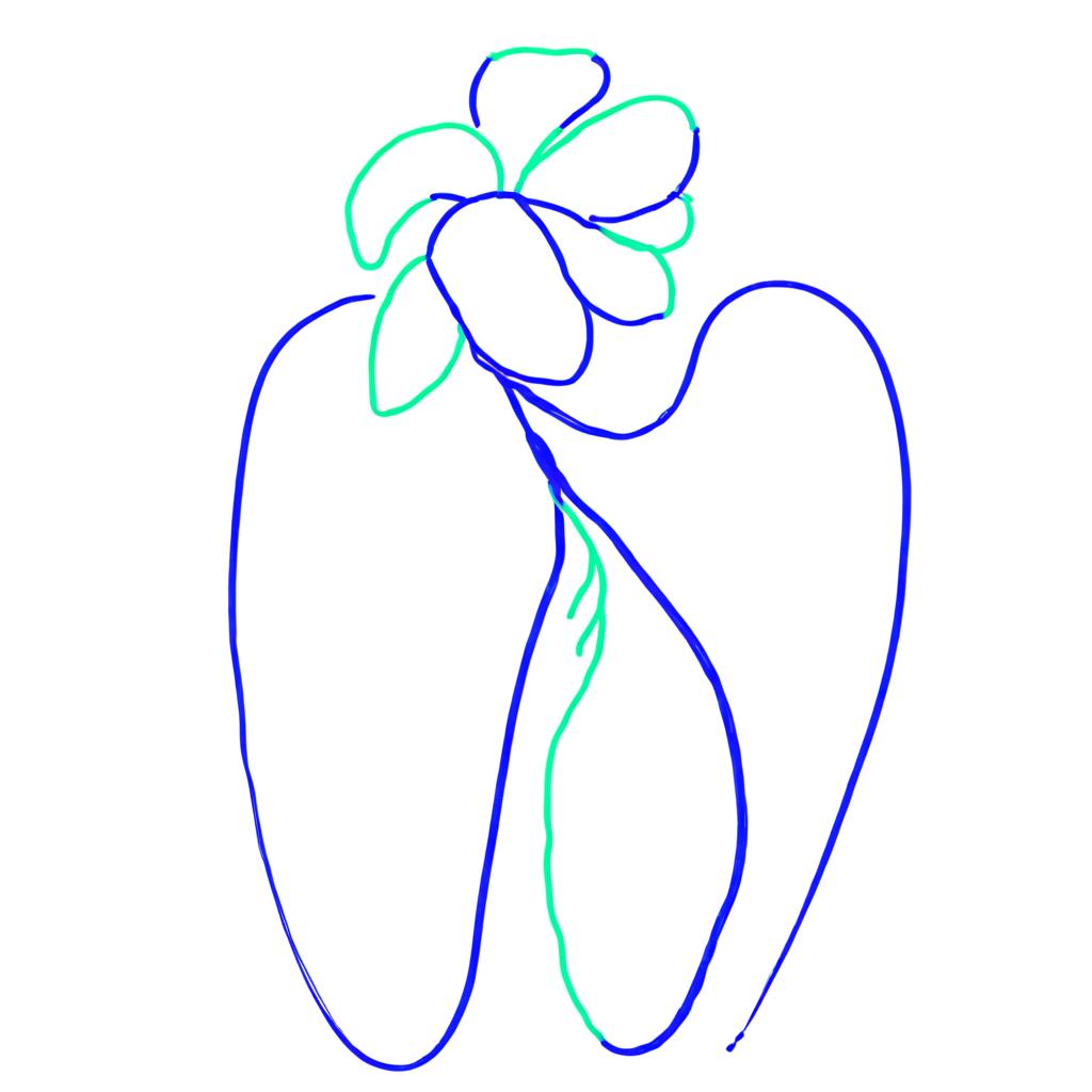 please make this draw