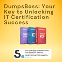 dumpsboss_guide