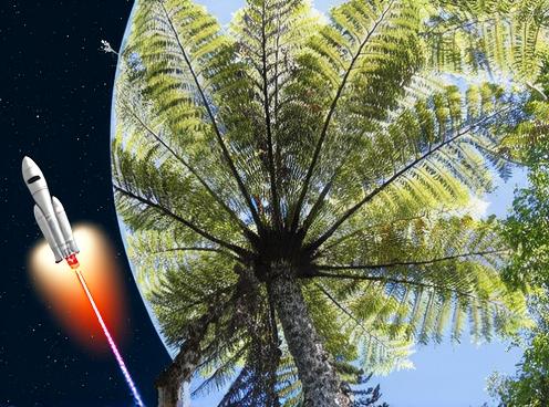 A vibrant sky filled with lush green fern leaves viewed from below, showcasing a towering tree