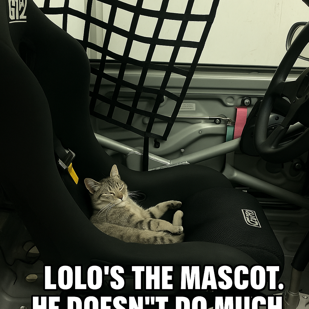 Haz un meme este gato de la empresa y es la mascota y además se llama Lolo como el equipo de Lolo racing Team que hemos creado.