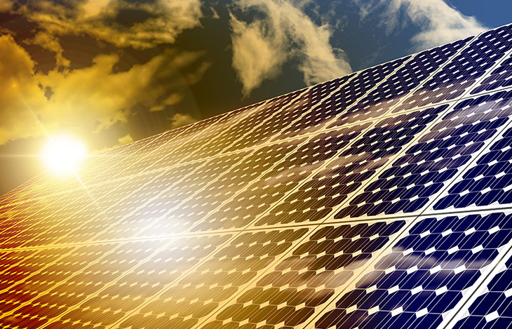 Shine Bright: Solar Energy Insights