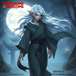 A Dungeons & Dragons character design for a Sylph Monk of the Way of Shadows