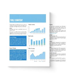 A detailed report document featuring a clean and professional layout
