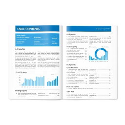 A detailed report document featuring a clean and professional layout