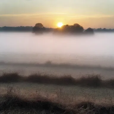 As the sun set, a misty fog enveloped the field, revealing a creepy furrow that seemed to lead to nowhere.