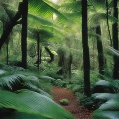 The scene in the movie featured a lush jungle filled with hand ferns, enhancing the tropical atmosphere.